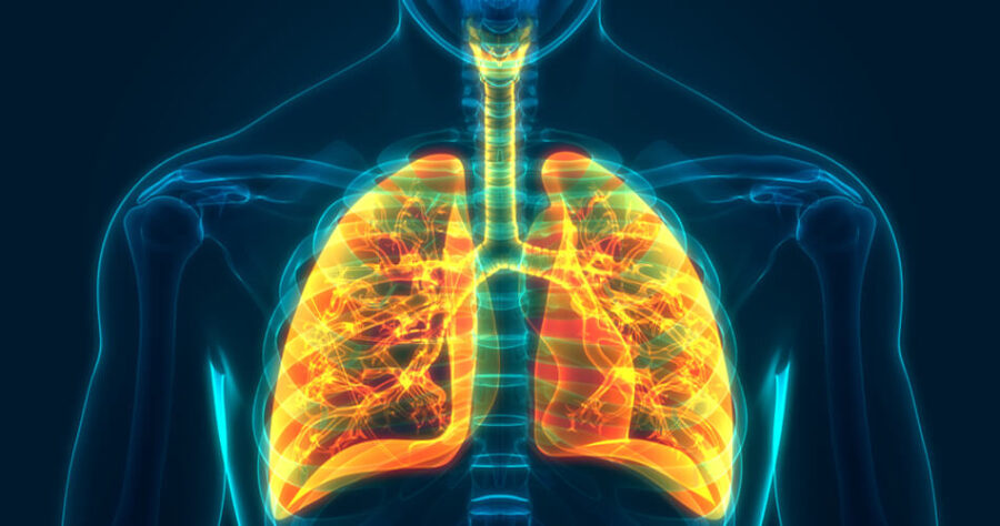 Układ oddechowy człowieka — budowa, funkcje, najczęstsze choroby