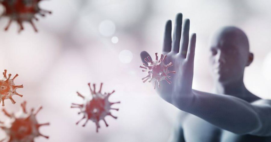 Układ immunologiczny – tarcza obronna organizmu