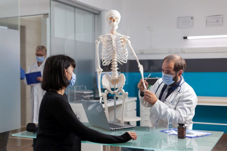 Budowa kości człowieka – co warto wiedzieć o szkielecie człowieka? Poznaj rodzaje kości w ludzkim układzie kostnym!