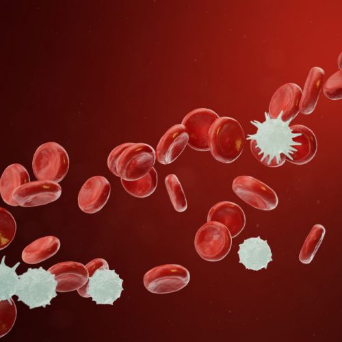 Monocyty. Podwyższone, zaniżone, czy w normie? Dlaczego warto regularnie badać krew?