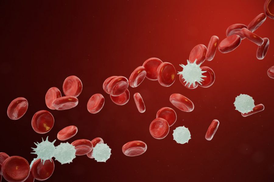 Monocyty. Podwyższone, zaniżone, czy w normie? Dlaczego warto regularnie badać krew?