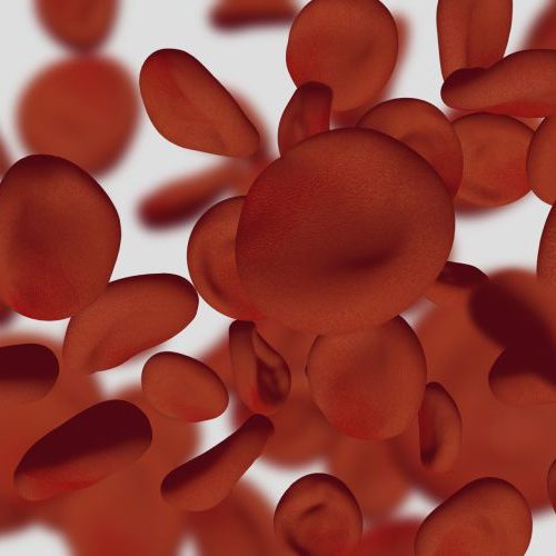 Podwyższona hemoglobina – o czym świadczy taki wynik badania?