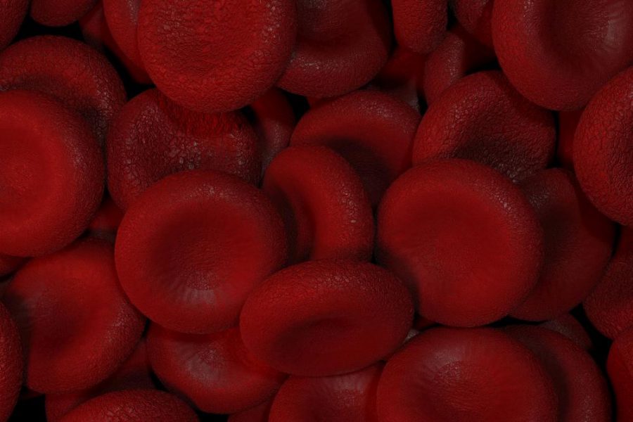 Skrzep krwi – co to jest? Jakie są przyczyny powstawania skrzepów krwi?